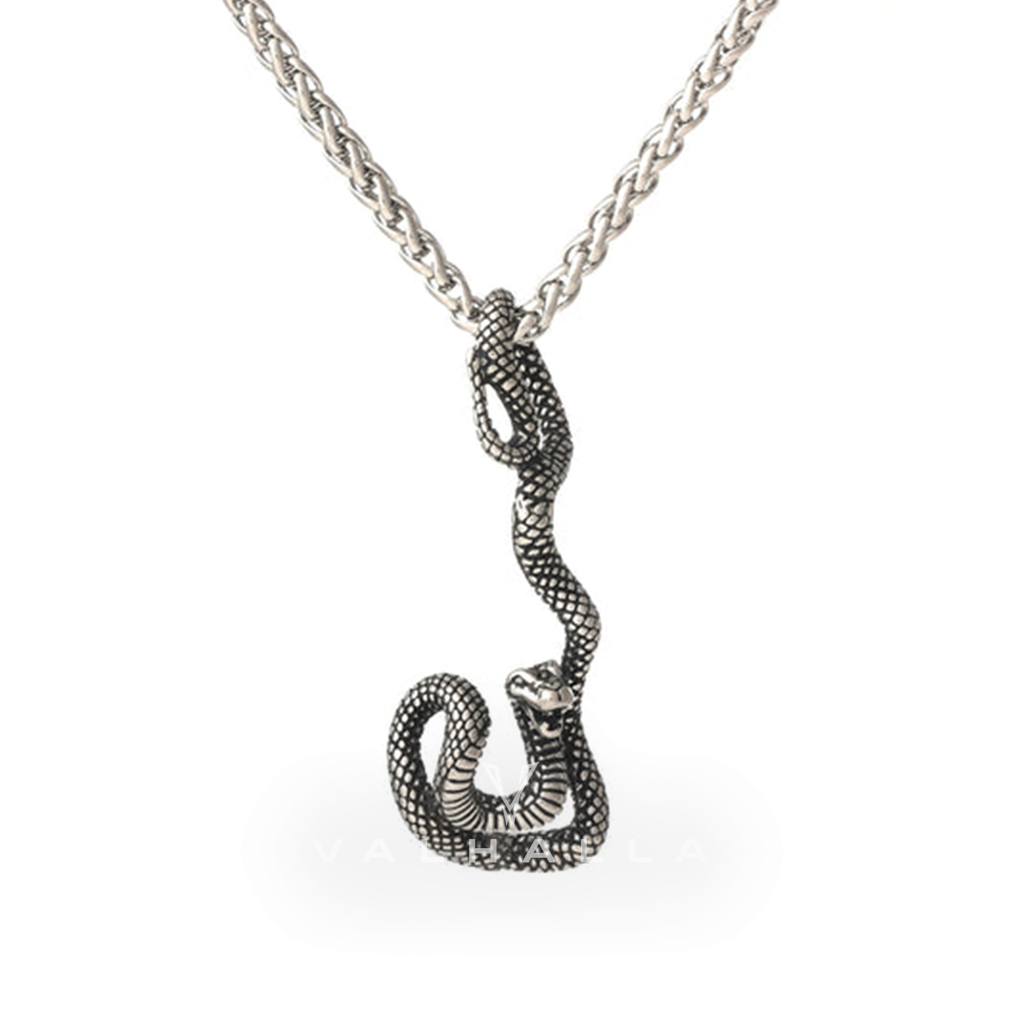 Coiled Snake Stainless Steel Pendant & Chain