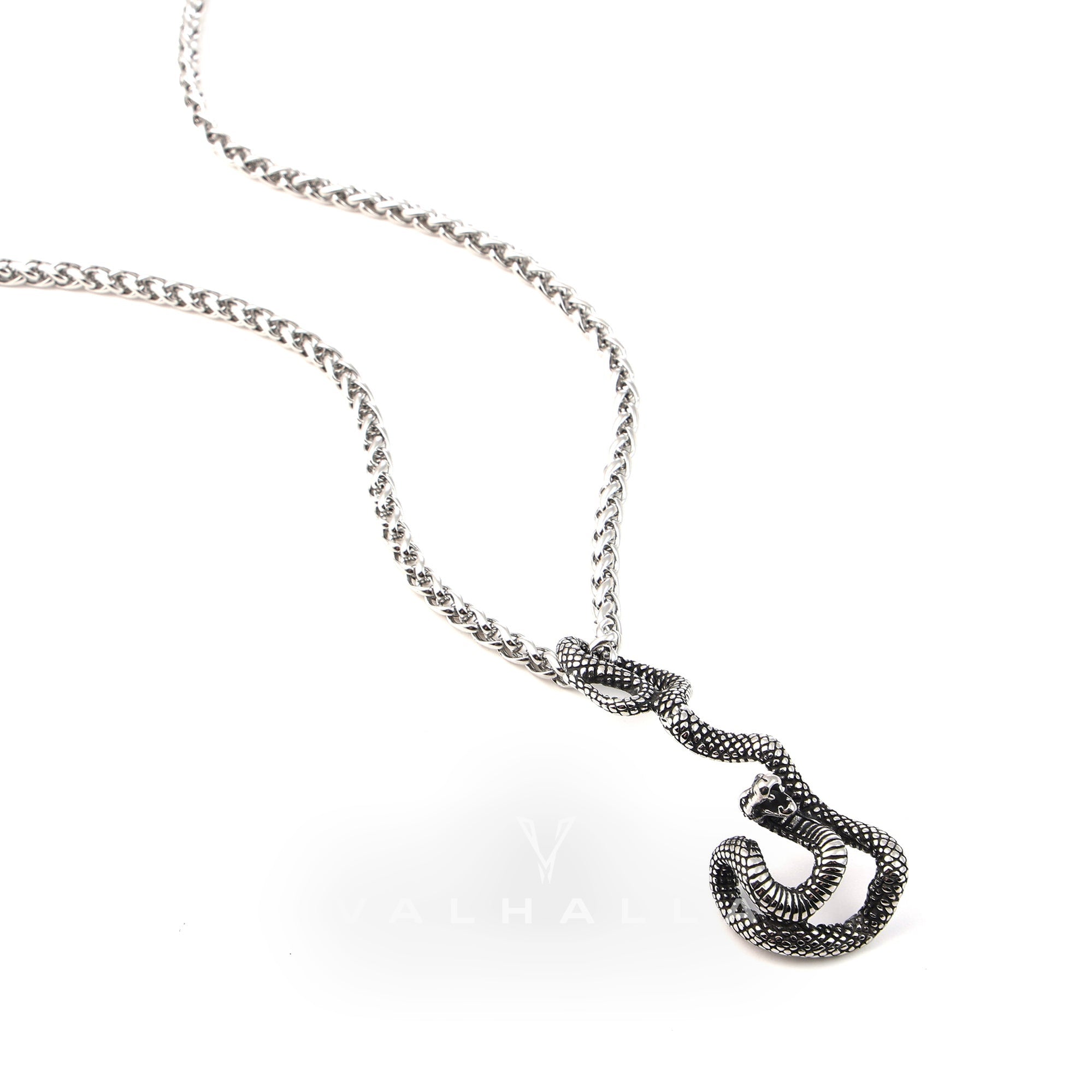 Coiled Snake Stainless Steel Pendant & Chain
