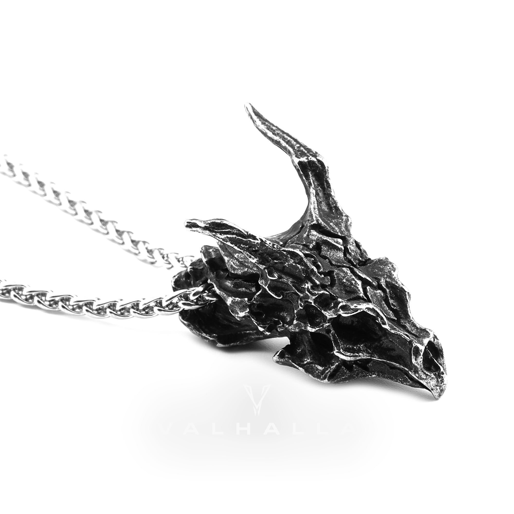 Dragon Skull Stainless Steel Pendant & Chain