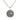 Aquarius Stainless Steel Pendant & Chain