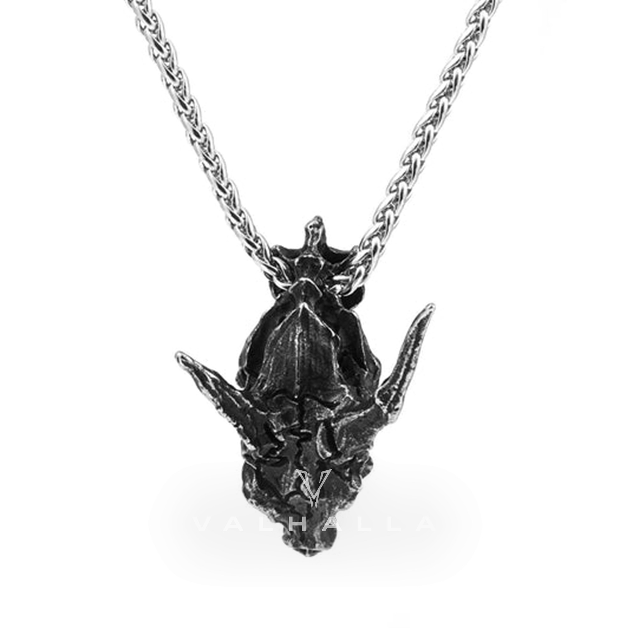Dragon Skull Stainless Steel Pendant & Chain